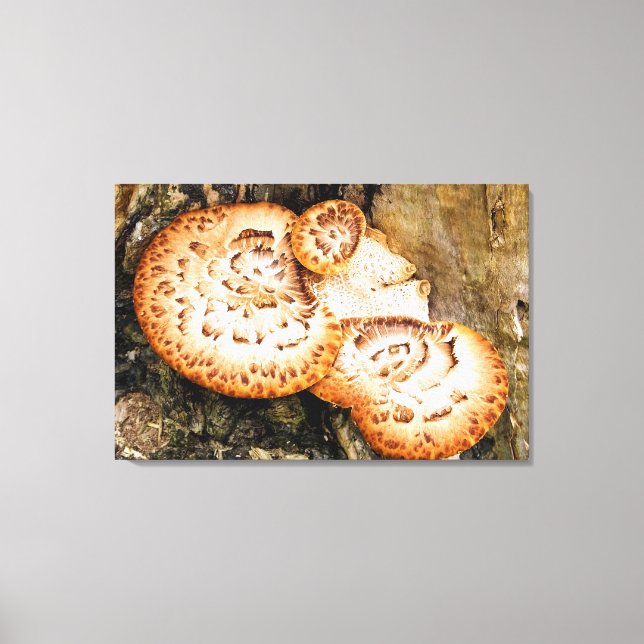 FUNGI    CANVAS PRINT (Front)