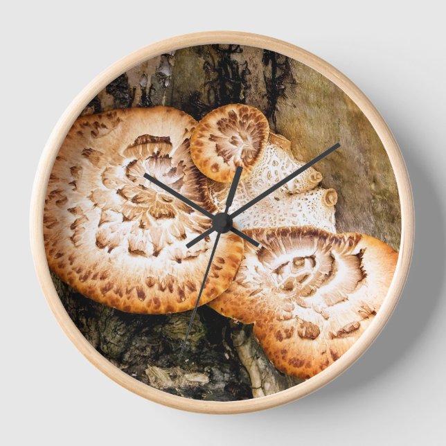 FUNGI  CLOCK (Front)