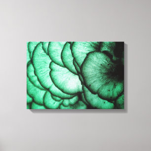 Fungi Flowers/Nature's Abstract Canvas Print