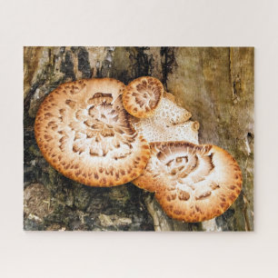 FUNGI  JIGSAW PUZZLE