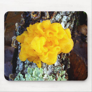 Fungi Tremella Mesenterica Mouse Mat