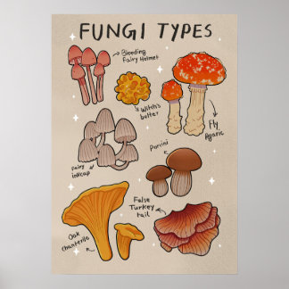 Fungi Types mushroom types Poster