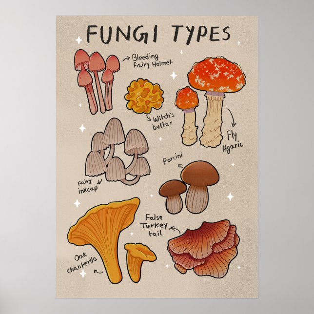 Fungi Types mushroom types Poster (Front)