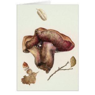 Fungus