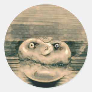 Fungus head classic round sticker