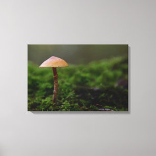 Fungus in the green moss canvas print
