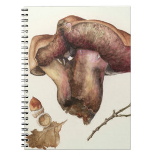 Fungus Notebook