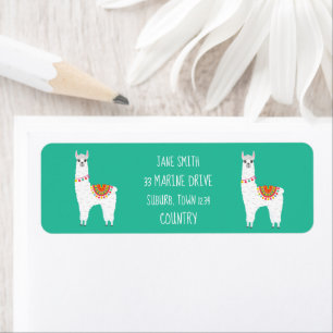 Funky alpaca drama llama