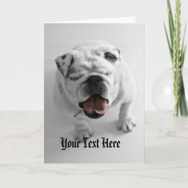 Funky Bulldog Template -Birthday Congratulations (Front)