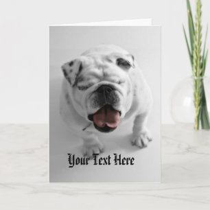 Funky Bulldog Template - Birthday Congratulations