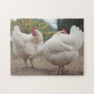 Funky Chicken Hen Hy-Line Silver Brown Jigsaw Puzzle