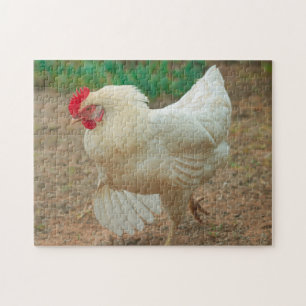 Funky Chicken Hen Hy-Line Silver Brown Jigsaw Puzzle