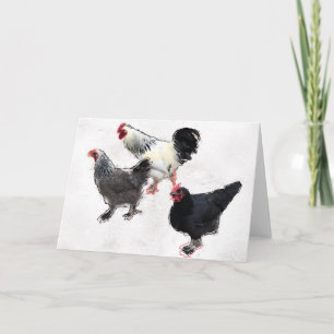 Funky Chickens Card
