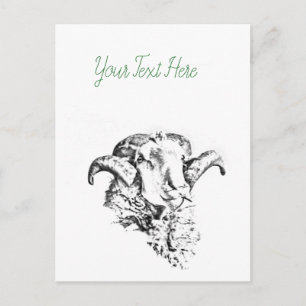 Funky Cute Sheep Ram Postcard