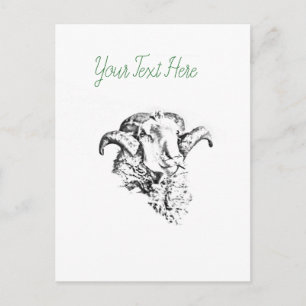Funky Cute Sheep Ram Postcard