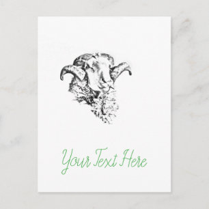 Funky Cute Sheep Ram Postcard