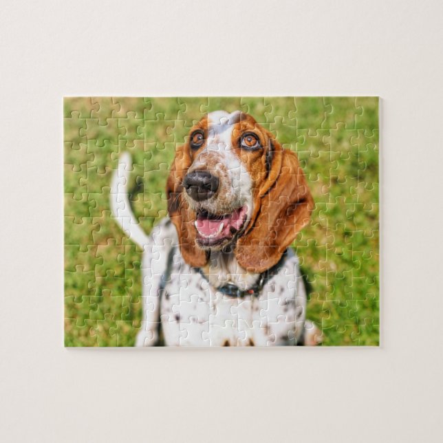 Funky Dog Basset Hound  Jigsaw Puzzle (Horizontal)