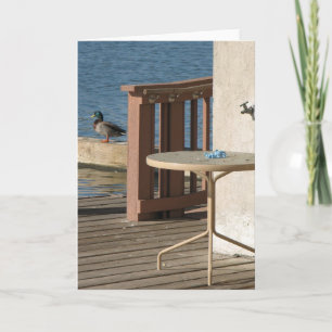 Funky Duck Greeting Card! Card