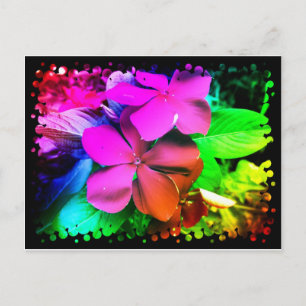 Funky Fun Flowers Postcard
