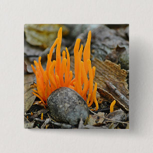 Funky Fungi Button