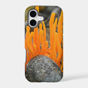 Funky Fungi iPhone Case