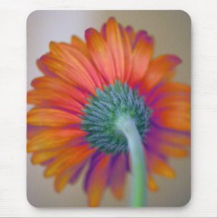 Funky Gerbera Mouse Mat