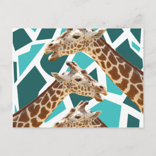Funky Giraffe Print Teal Blue Wild Animal Pattern Postcard
