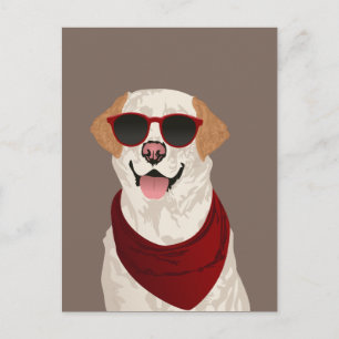 Funky Labrador Retriever for Dog Lovers Postcard