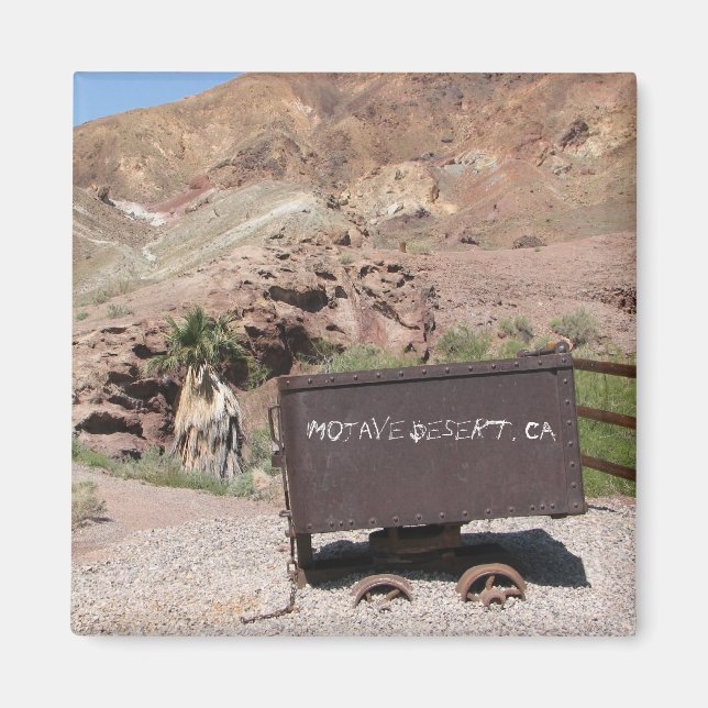 Funky Mojave Desert Magnet! Magnet (Front)