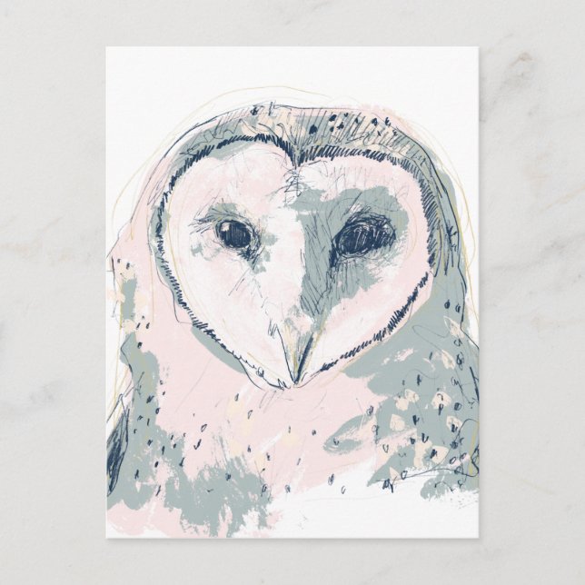 Funky Owl Portrait Postcard (Front)