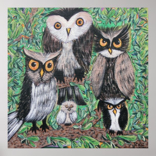 Funky Owls Acrylic Art Poster