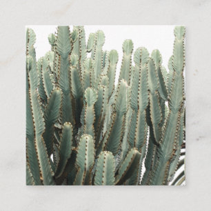 Funky Pale Green Cactus Type Plant Enclosure Card