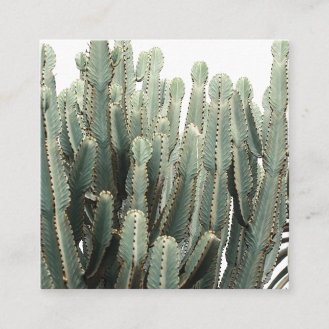 Funky Pale Green Cactus Type Plant Enclosure Card (Front)