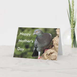 Funky Pigeon Mother's Day Cards