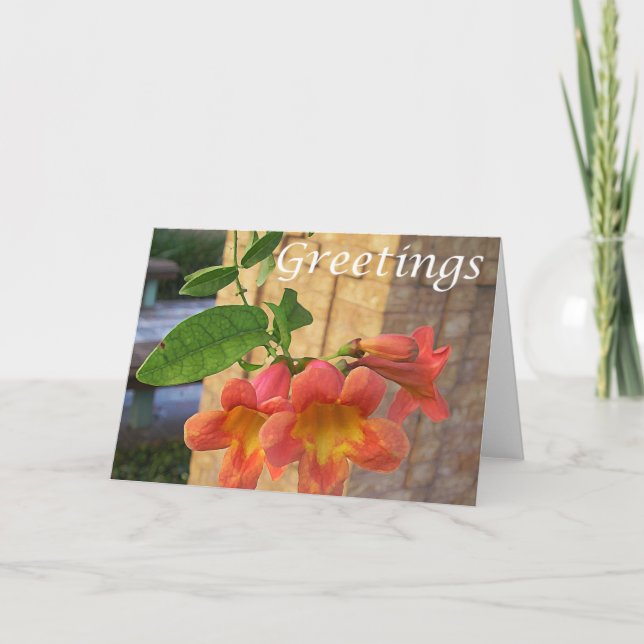 Funnel Flower Greeting Card (Front)