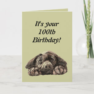 Funny 100th Birthday Customise Labrador Retriever Card