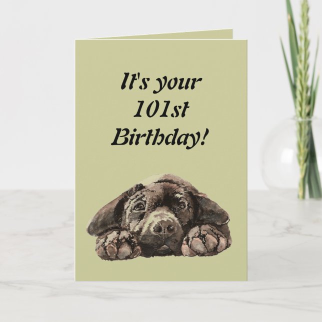 Funny 101st Birthday Customise Labrador Retriever Card (Front)
