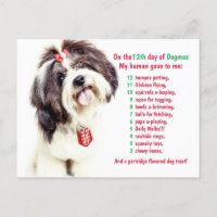 Funny 12 Days of Christmas Dogmas 