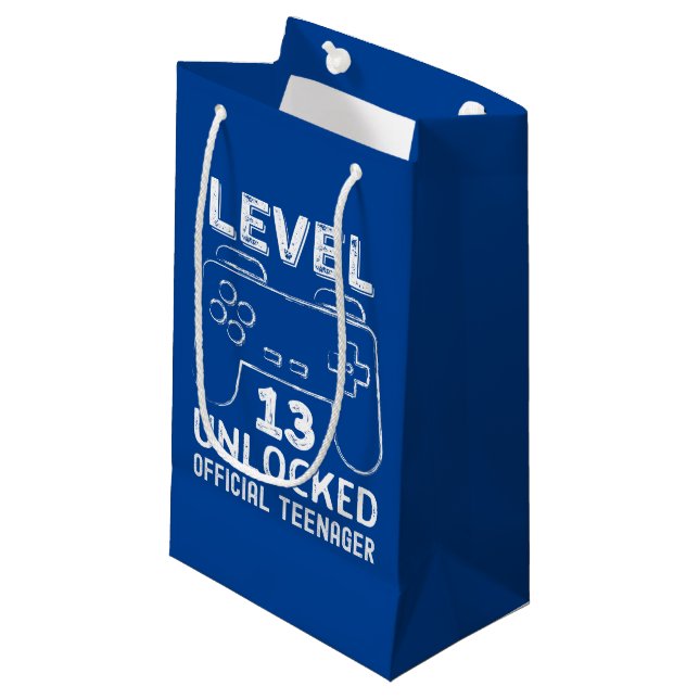 Funny 13th birthday level 13 unlocked gamers small gift bag (Front Angled)