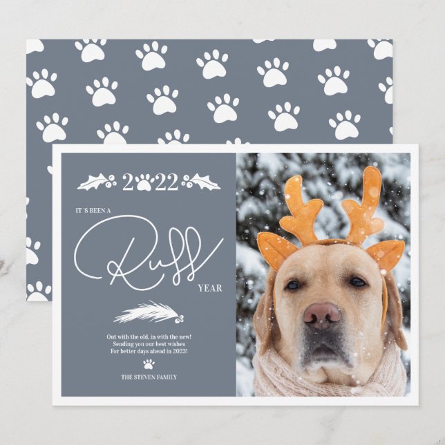 Funny 2022 ruff script year pet Christmas photo Holiday Card (Front/Back)