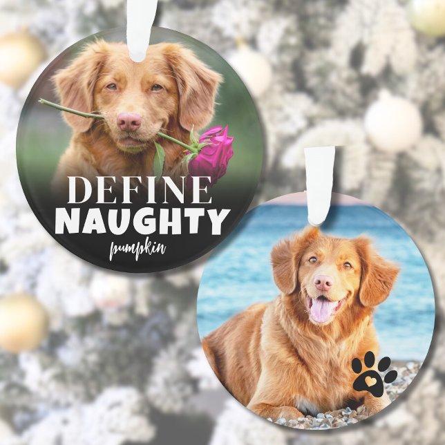 Funny 2 Photo Pet Christmas Ornament (Cute Define Naughty Dog Photo Ornament)