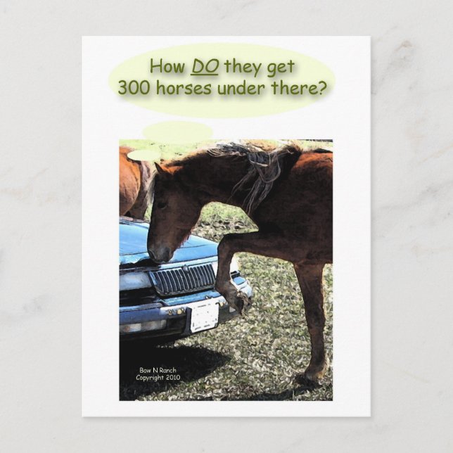 Funny 300 Horse Car Postcard (Front)
