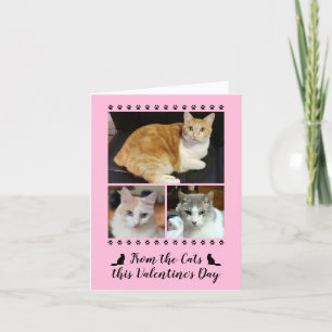 Funny 3 Photo From Cat Paw Print Valentines Pink Holiday Card