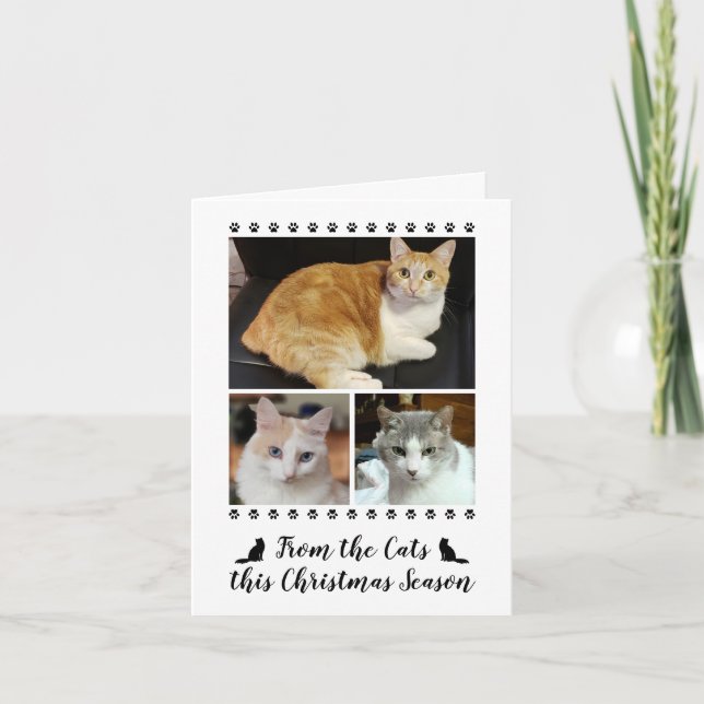 Funny 3 Photo Script From Cat Dog Pet Christmas Holiday Card (Front)