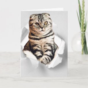 Funny 3d graphic cat torn paper illusion card