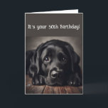 Funny 50th Birthday, Labrador Retriever Card<br><div class="desc">Funny Birthday 50th ,  Sad Dog,  original watercolor Labrador Retriever, </div>