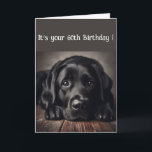 Funny 60th Birthday, Labrador Retriever Card<br><div class="desc">Funny Birthday 60th ,  Sad Dog,  original watercolor Labrador Retriever, </div>