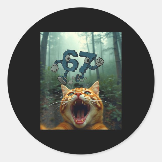 Funny 67 Cat Selfie 6 7 Brainrot Teen Boys Meme Ha Classic Round Sticker (Front)