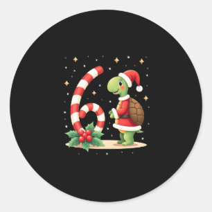 Funny 67 Meme Turtle Christmas PJm Men Women Famil Classic Round Sticker