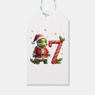 Funny 67 Meme Turtle Christmas PJm Men Women Famil Gift Tags